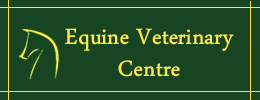 Equine Vets South Yorkshire