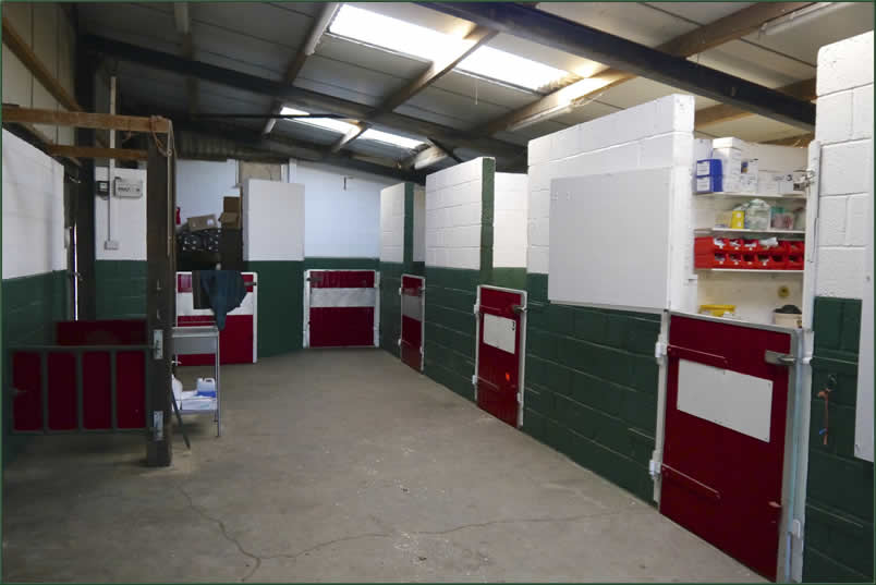 Stables and equine centre Moorhouse Doncaster