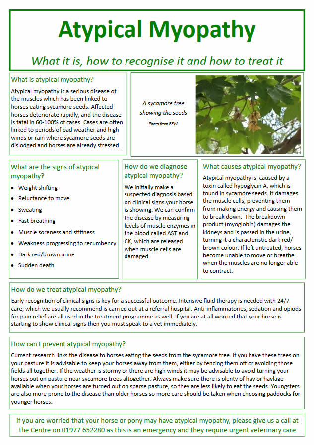 atypical myopathy information sheet in horses