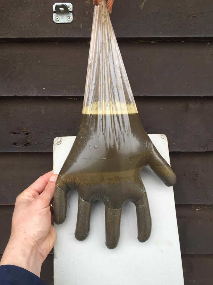 Glove full of sand ingestion from Equine Veterinary Centre