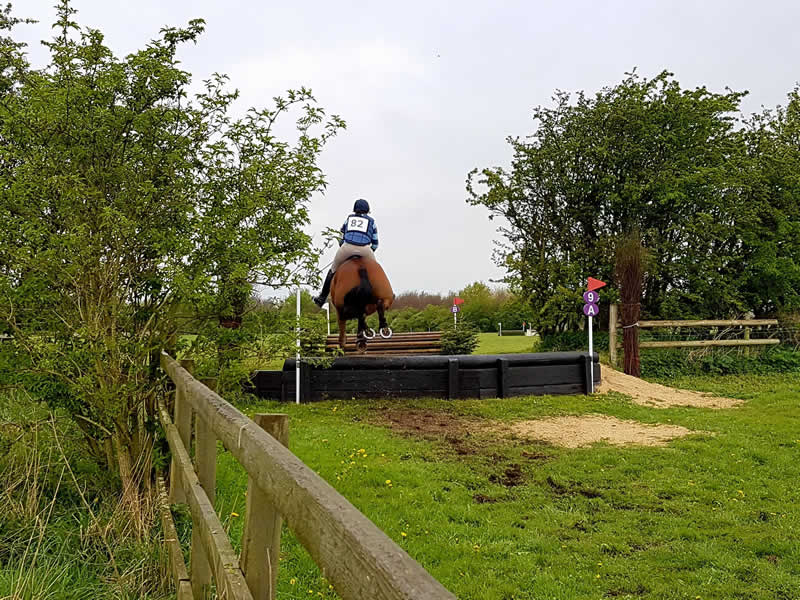 The Area 16 Riding Clubs Show Cross