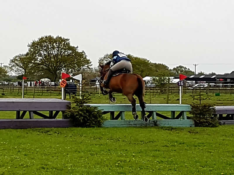 The Area 16 Riding Clubs Show Cross